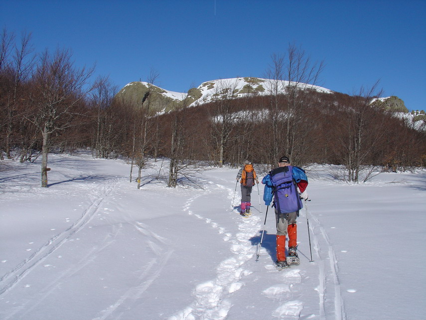 Verso il Maggiorasca con neve, cielo azzurro e temperatura mite