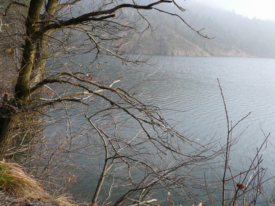 Un'ultima immagine sul lago.
