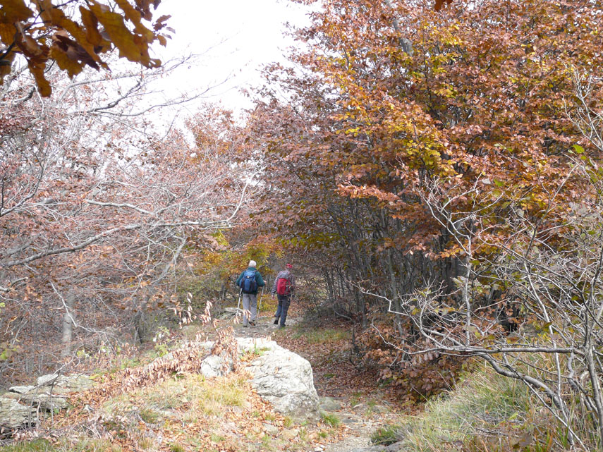 Gianni e Mino tra gli alberi colorati di rosso sul passo del Faiallo