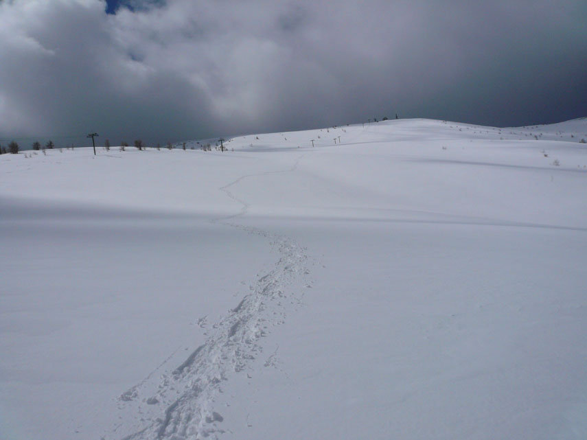 Scendo lungo la pista "Plateau" bianchissima di neve fresca
