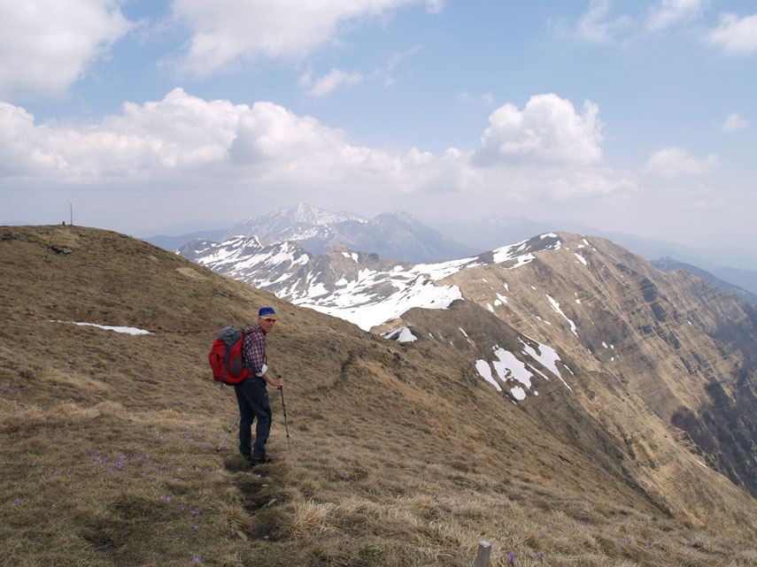 Il crinale in corrispondenza del monte Bragalata. Sullo sfondo appare inconfondibile l'arcigna mole dell'Alpe di Succiso