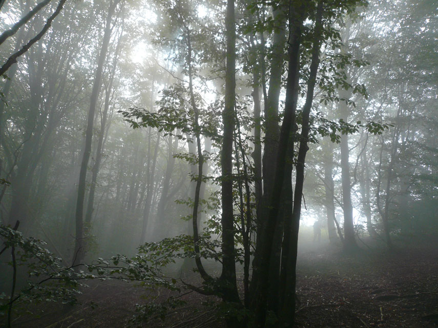 Sul crinale troviamo tratti scoperti alternati al bosco che le nebbie fluttuanti riempiono di magica atmosfera