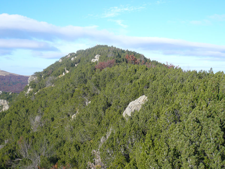 Da un roccione fuori dal bosco si ha una bella visuale della cima del Monte Nero...