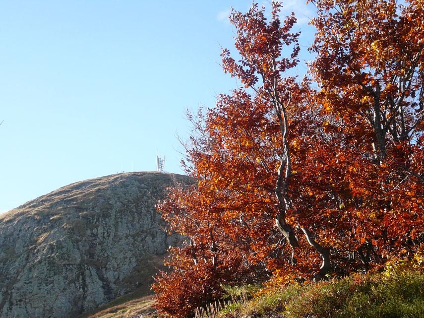 Gli ultimi colori infuocati dell'autunno resistono ancora appena sotto il Maggiorasca
