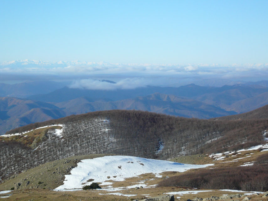 Panorama verso ovest: sullo sfondo le Alpi Liguri