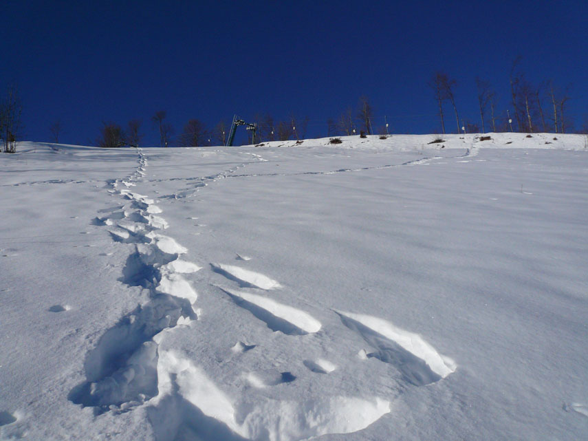 Sulle piste cingolate dai gatti la neve è dura ma non ghiacciata. Fuori dalle piste è crostosa con crosta non portante: qui le ciaspole sarebbero servite