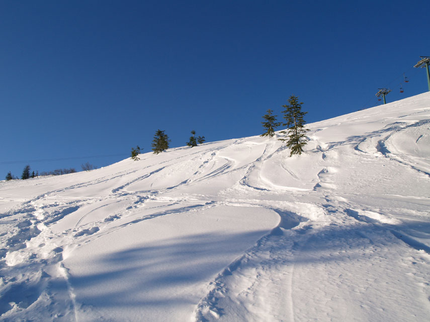 Dalla Colla di Casotto sono salito lungo le piste da sci fino al Monte Berlino. Neve ottima ed abbondante