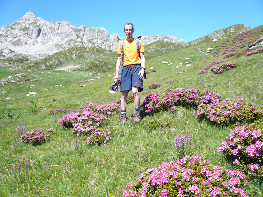 Sopra i prati fioriti si innalzano le cime che fanno da testata all'alta valle Corsaglia. In questa foto la Cima Revelli