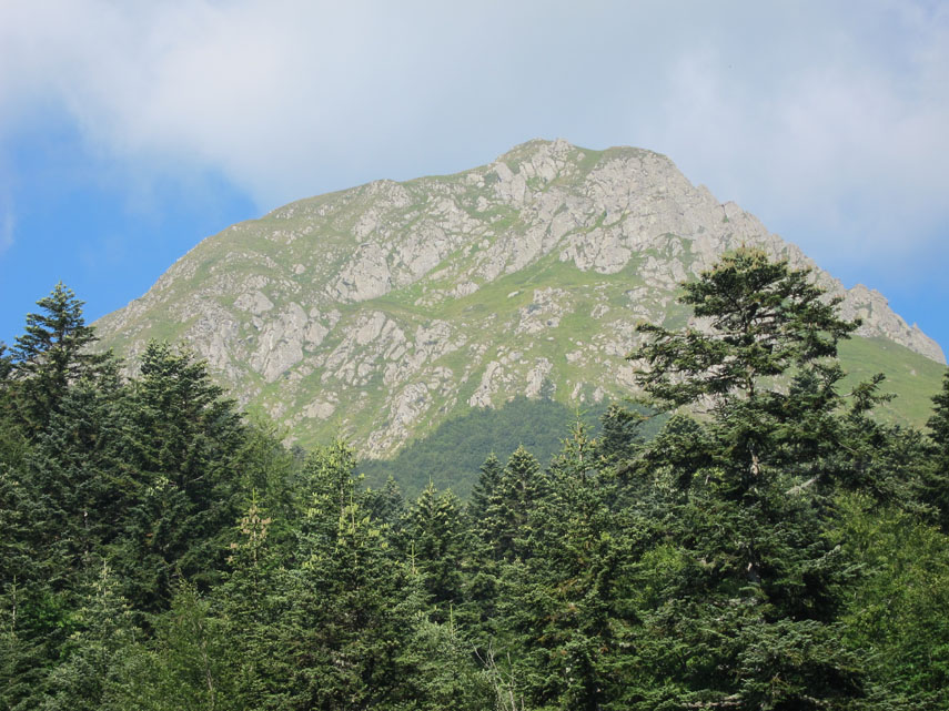 Sopra la foresta si innalza il Monte Prado che, con i suoi 2054 mt, è la montagna più alta della Toscana