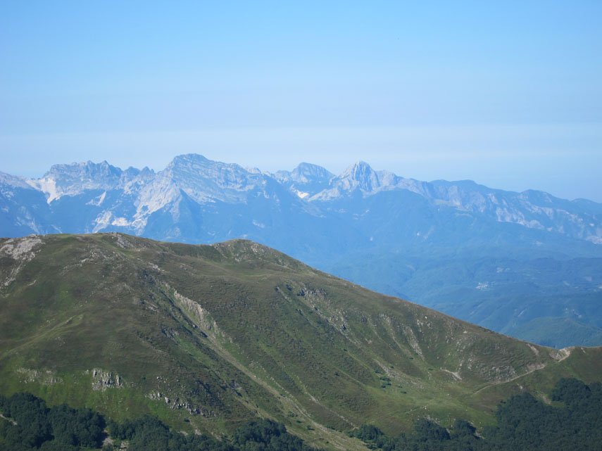 ... proseguiamo lungo il crinale in direzione del Cusna con bella vista sulle Alpi Apuane ...