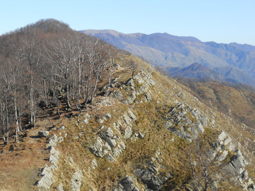 Qualche immagine dalla Cappelletta: questa è la cresta che prosegue verso la vera cima del Ramaceto (foto di Paola) ...