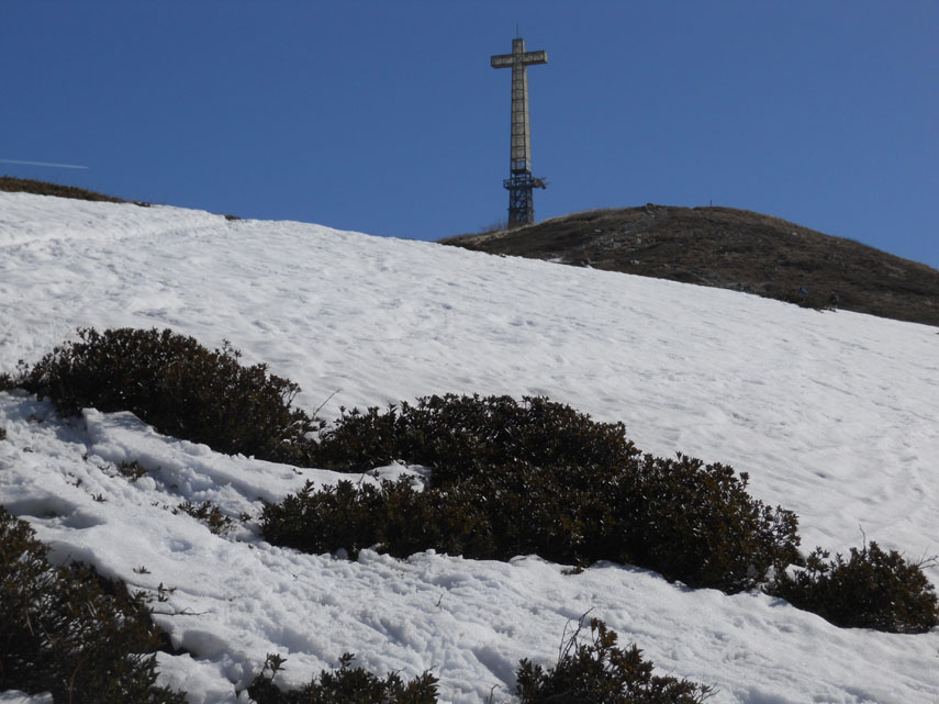 Cespugli di mirtilli si sono liberati dalla neve. La croce torreggia sulla cima perfettamente asciutta (foto di Paola)