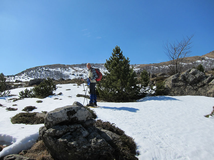 Al Prato Grande la neve ci permette di indossare le ciaspole. Svoltiamo a destra sul sentiero 037 e, tra prati, roccette e pini mughi, saliamo verso la cima del Ragola