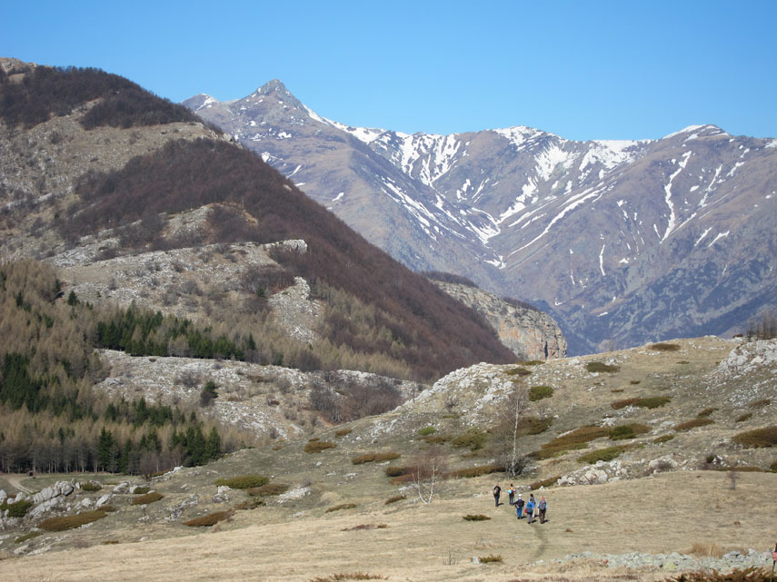 La discesa al Colle San Bartolomeo è bella e panoramica: di fronte a noi svetta il Pizzo d'Ormea