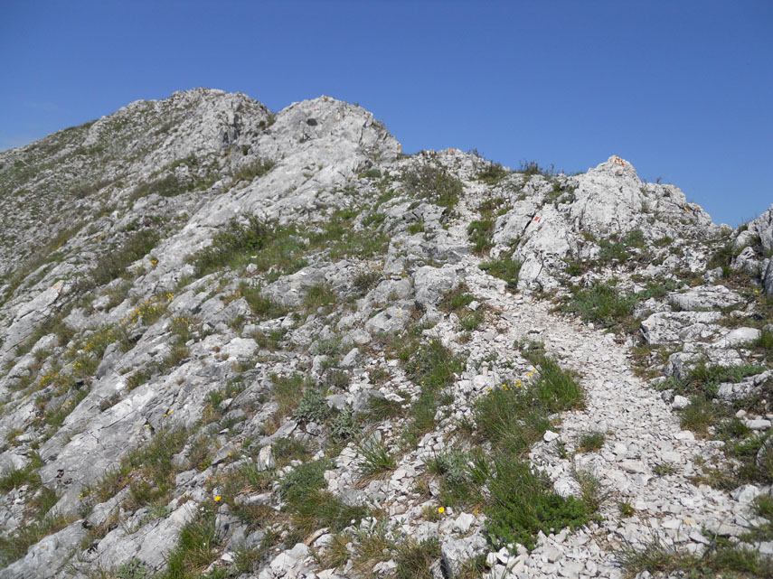 ... e poi allo scoperto, lungo la rocciosa cresta sud-orientale del Carmo di Loano (foto di Paola)