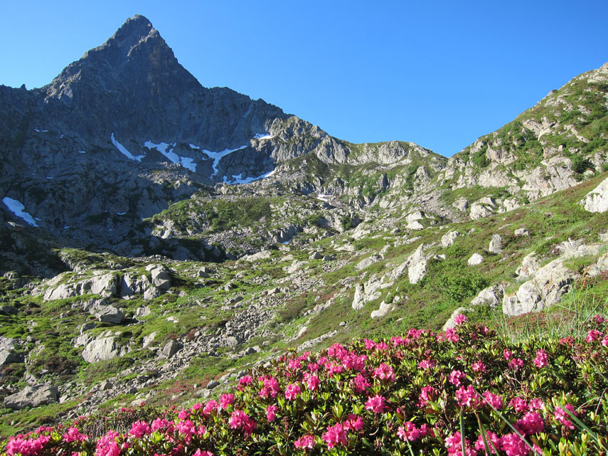 Il sentiero risale il pittoresco Vallone degli Alberghi tra splendide fioriture di rododendri e, ...