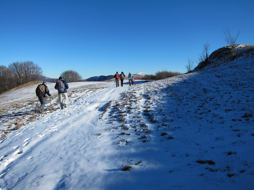 ... proseguiamo la nostra camminata. La neve, che non riesce nemmeno a coprire i ciuffi d'erba, scricchiola sotto i nostri passi, il cielo è una distesa infinita di azzurro