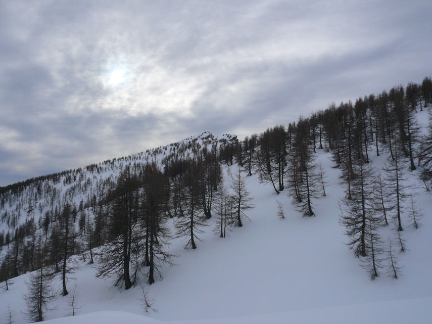 In discesa neve tutto sommato discreta fino alla strada Monesi-Colle di Tenda (quota 1900 metri) mentre al di sotto è ormai polenta