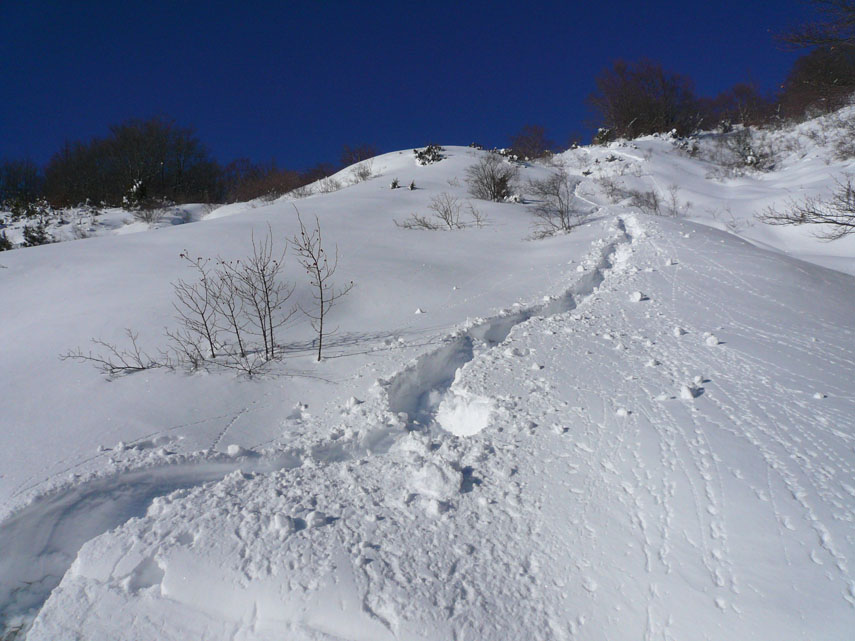 Infine, dopo essere tornato all’Astass, ho imboccato l’itinerario che scende a Rocca d’Aveto scavando in alcuni tratti una vera e propria trincea nella neve