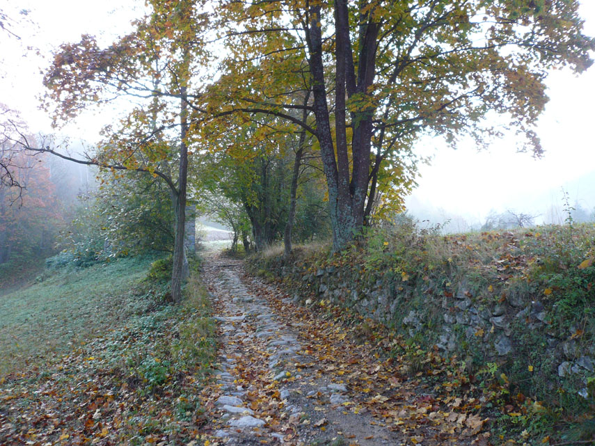 Il sentiero sale nel bosco toccando i ruderi della Cappella di San Mauro (mt. 657) e antiche cascine