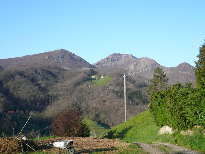 ... situate in splendida posizione su di un verde poggio panoramico (località Pianazzo, m. 547)