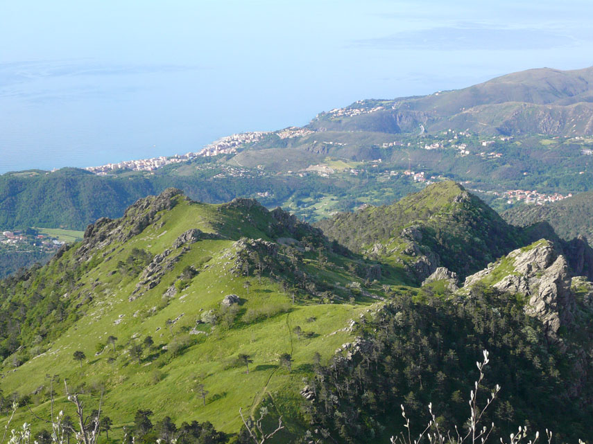 Alcune decine di metri più in basso, tra i prati verdissimi della Rocca Negra, si snoda il sentiero della “Via diretta al Monte Argentea” (segnavia: stella bianca)