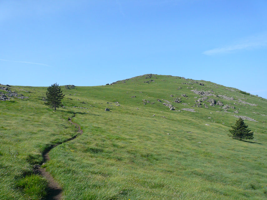 Il sentiero è ora perfettamente segnato con le bandierine bianco-rosse e risale i verdi tappeti erbosi fino al Passo Vaccaria (m. 1115)
