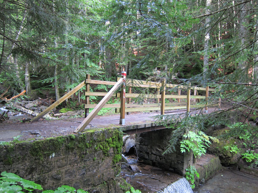 Il secondo ponte in legno è ricoperto da uno spesso strato di fango, segno che il fiume, in una delle sue tante piene, lo ha scavalcato e sommerso