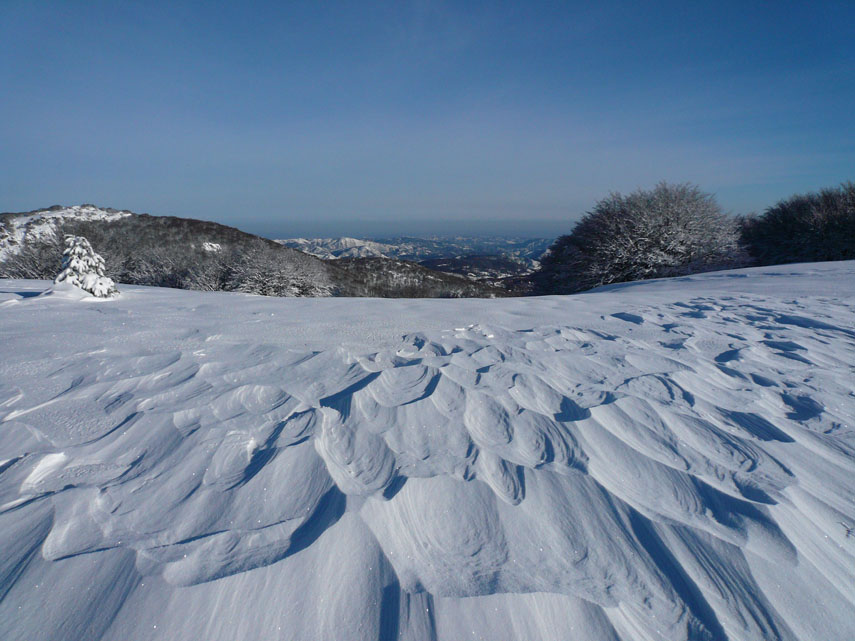Sulla spianata sommitale del Beigua il vento ha modellato alacremente il manto nevoso creando una serie di piccoli sastrugi