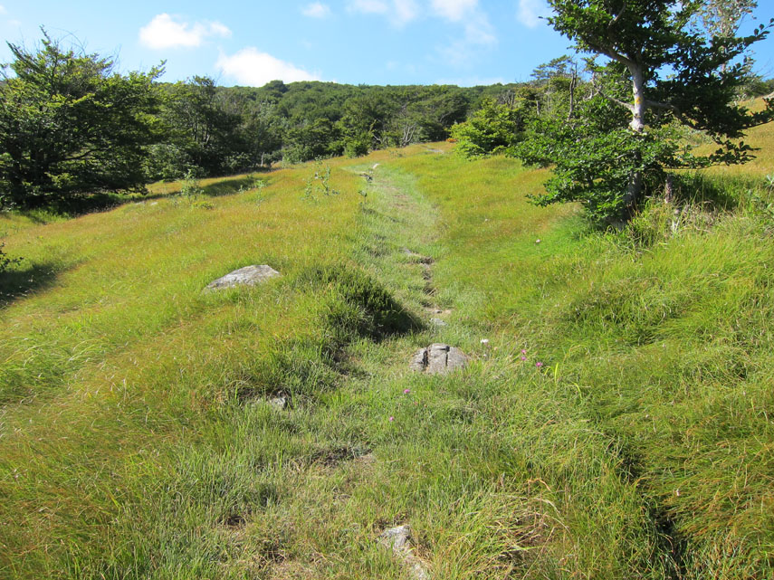 Il sentiero è tenuto in perfetto ordine dal Parco del Beigua, l’erba e i rami che ad ogni stagione diventano più invadenti sono tagliati di fresco. Ci accorgeremo della grande differenza tra poco quando, ...