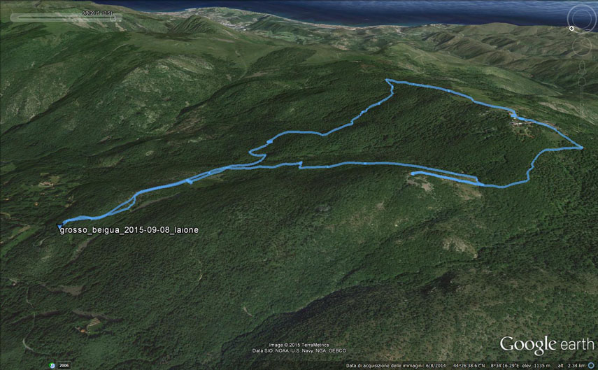 Il tracciato dell’escursione rilevato con il gps (l’anello è stato percorso in senso antiorario). Partenza dalla Torbiera del Laione (2,5 km sopra Piampaludo, m. 991) - svolta a destra sul sentiero per il Monte Beigua (segnavia X gialla) - pendici sud-orientali del Grosso - pendici sud-occidentali del Grosso (Colle Cascina, m. 1209) - Monte Grosso (m. 1265) - Colle Cascina - Sella del Beigua (m. 1251) - Monte Beigua (Chiesetta Regina Pacis, m. 1287) - Alta Via verso Pratorotondo - svolta a sinistra sul “Sentiero Natura” (segnavia tre pallini gialli) - Torbiera del Laione
