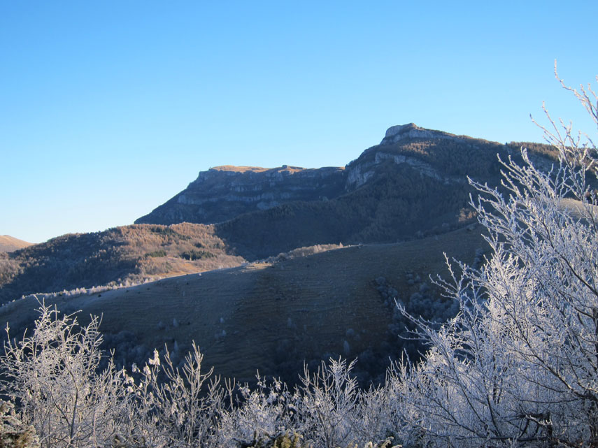 Sopra le punte dei rami ghiacciati si scorgono i gradoni calcarei che cingono l’ombroso versante nord-occidentale dell’Armetta
