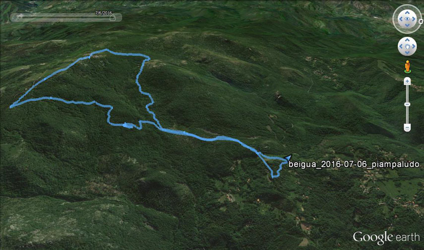 Il tracciato dell’escursione rilevato con il gps (l’anello è stato percorso in senso antiorario). Partenza dalle ultime case di Piampaludo lungo la strada per Pratorotondo (m. 900 circa) - sentiero segnato con una X gialla - Torbiera del Laione (m. 991) - pendici orientali del Monte Grosso - Colle Cascina (m. 1209) - Sella del Beigua (m. 1251) - Chiesetta Regina Pacis sul Monte Beigua (m. 1287) - Alta Via in direzione di Pratorotondo - svolta a sinistra sul “Sentiero Natura” (segnavia: tre pallini gialli) - Cian du Ni - incrocio con strada asfaltata Piampaludo-Pratorotondo - Piampaludo 