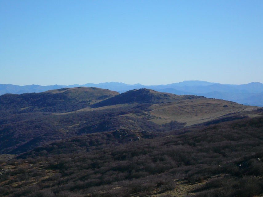A est si distendono le vaste faggete che ricoprono i dolci versanti settentrionali del Reixa (a sinistra) e della Rocca Vaccaria (a destra) mentre sullo sfondo si scorgono le montagne dell’Aveto