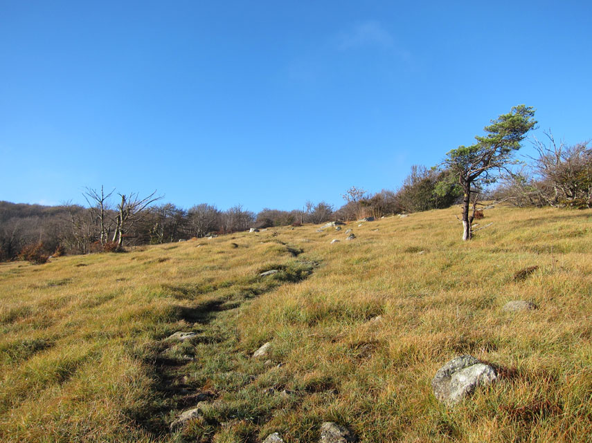 Inoltre, come è ormai consuetudine sui percorsi gestiti dal Parco del Beigua, nei tratti di sentiero che attraversano zone prative l'erba viene tagliata