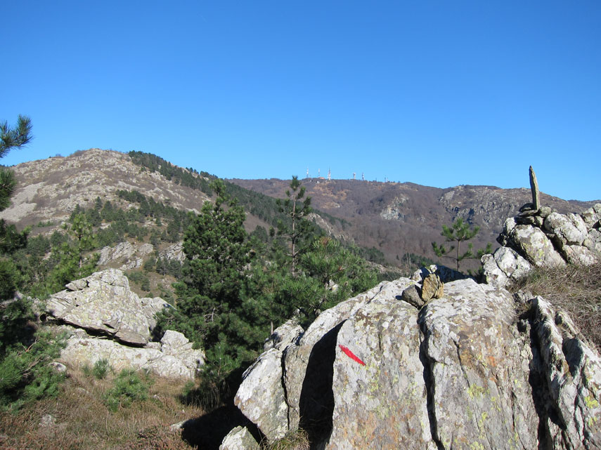 Tra rocce affioranti supero la poco marcata sommità del Bric Montebè (m. 980) e subito dopo incontro il sentiero segnato con il triangolo rosso proveniente da Alpicella