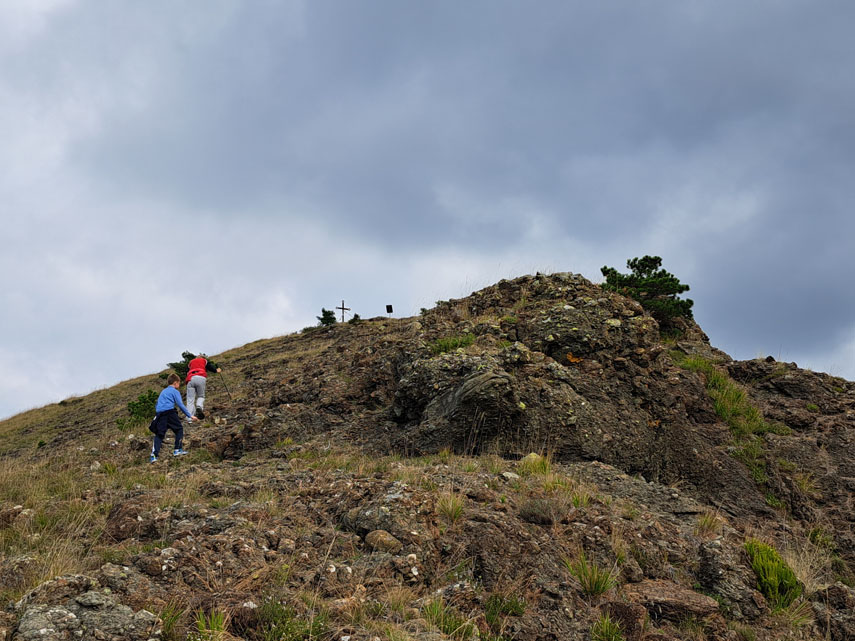 Raggiungiamo la strada che taglia il bosco e ci inerpichiamo sulla scarpata per continuare la linea della massima pendenza che sbuca sulla cima