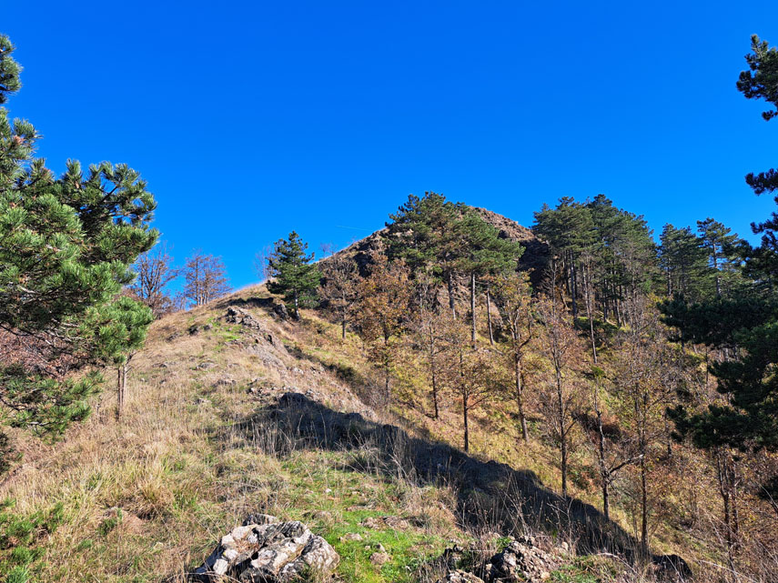 Incrociata la strada “delle vasche” in corrispondenza del “punto panoramico” (panchina e pannello informativo), percorro l’ultimo tratto di cresta ...